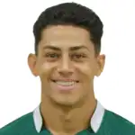 Vinicius Rodrigues Adelino dos Santos headshot