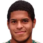 Weverson Leandro Oliveira Moura headshot