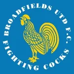 Broadfields United logo logo