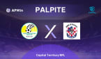 Tuggeranong United x O'Connor Knights | Palpite | Capital Territory NPL | 24/08