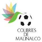 Malinalco logo de equipe