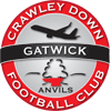 Crawley Down Gatwick logo logo