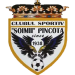 Şoimii Pâncota Logo