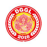 Dongguan United logo de equipe