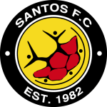 Engen Santos FC logo de equipe logo