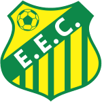  logo de equipe