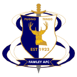 Fawley AFC logo de equipe