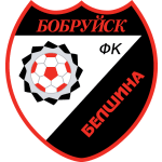 Belshina logo de equipe logo