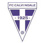 Calvi Noale Team Logo