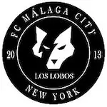 Málaga City logo de equipe