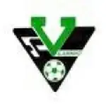 Vilarinho logo de equipe