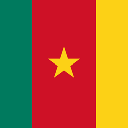 Cameroon country flag