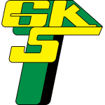 Górnik Łęczna W Team Logo