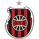 Brasil de Pelotas U20 Team Logo