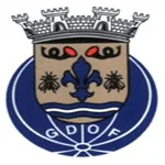 Oliveira de Frades logo de equipe