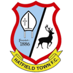 Hatfield Town logo de equipe