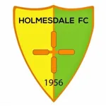 Holmesdale FC logo de equipe logo