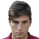 Marco Varnierdisparo a la cabeza
