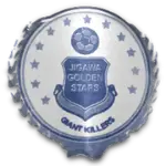 Jigawa Golden Stars Team Logo