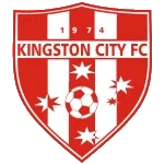 Kingston logo de equipe