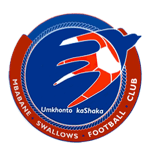 Mbabane Swallows Logo