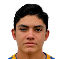 Luis Ronaldo Nájera Reyna headshot