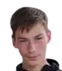 Vicu Bulmaga headshot