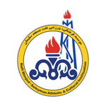 Naft Masjed Soleyman logo