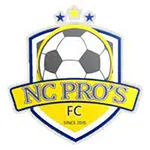 NC Professionals logo de equipe logo