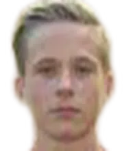 Gijs Besselinkdisparo a la cabeza