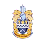 Newbury FC logo de equipe