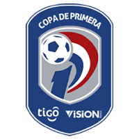 Division Profesional logo