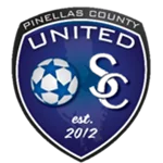 Pinellas County logo de equipe logo