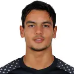 Tiago Manuel da Silva Maia headshot