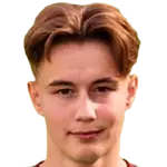 Harry Cochranedisparo a la cabeza