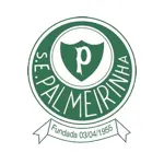 Palmeirinha logo de equipe