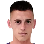 Aleksa Terzićdisparo a la cabeza