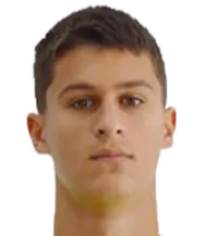 Dimitrije Stevanović headshot