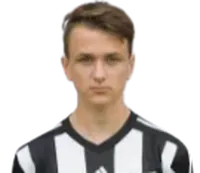 Tilen Ščernjavičdisparo a la cabeza