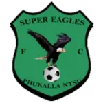 Super Eagles logo