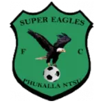 Super Eagles logo de equipe