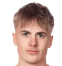 Johan Arvidssondisparo a la cabeza