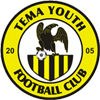 Tema Youth logo