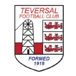 Teversal logo de equipe