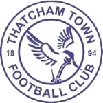 Thatcham Town logo de equipe logo