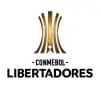 South America bandeira