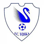 Voska Sport logo logo