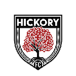 Hickory logo de equipe