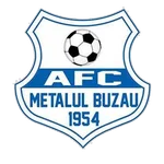 Metalul Buzău Team Logo