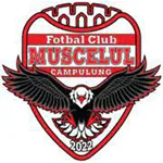 Muscelul Câmpulung Elite Team Logo